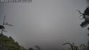 ./images/calvert/fitz-hugh-hecate/20250603/fitz-hugh-hecate20250603_141509M.jpg