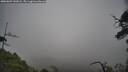 ./images/calvert/fitz-hugh-hecate/20250603/fitz-hugh-hecate20250603_142007M.jpg