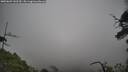 ./images/calvert/fitz-hugh-hecate/20250603/fitz-hugh-hecate20250603_142509M.jpg