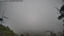./images/calvert/fitz-hugh-hecate/20250603/fitz-hugh-hecate20250603_143010M.jpg