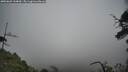 ./images/calvert/fitz-hugh-hecate/20250603/fitz-hugh-hecate20250603_144010M.jpg