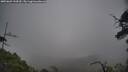 ./images/calvert/fitz-hugh-hecate/20250603/fitz-hugh-hecate20250603_144510M.jpg