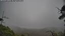 ./images/calvert/fitz-hugh-hecate/20250603/fitz-hugh-hecate20250603_145010M.jpg