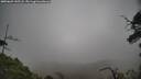 ./images/calvert/fitz-hugh-hecate/20250603/fitz-hugh-hecate20250603_145508M.jpg