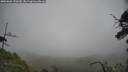 ./images/calvert/fitz-hugh-hecate/20250603/fitz-hugh-hecate20250603_150510M.jpg
