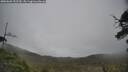 ./images/calvert/fitz-hugh-hecate/20250603/fitz-hugh-hecate20250603_152510M.jpg