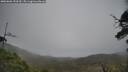 ./images/calvert/fitz-hugh-hecate/20250603/fitz-hugh-hecate20250603_153510M.jpg