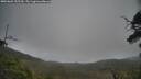 ./images/calvert/fitz-hugh-hecate/20250603/fitz-hugh-hecate20250603_155509M.jpg