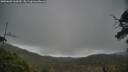 ./images/calvert/fitz-hugh-hecate/20250603/fitz-hugh-hecate20250603_160510M.jpg
