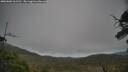 ./images/calvert/fitz-hugh-hecate/20250603/fitz-hugh-hecate20250603_161510M.jpg