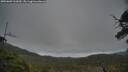 ./images/calvert/fitz-hugh-hecate/20250603/fitz-hugh-hecate20250603_162010M.jpg