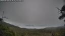 ./images/calvert/fitz-hugh-hecate/20250603/fitz-hugh-hecate20250603_162509M.jpg