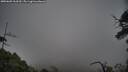 ./images/calvert/fitz-hugh-hecate/20250603/fitz-hugh-hecate20250603_163509M.jpg