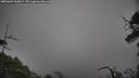 ./images/calvert/fitz-hugh-hecate/20250603/fitz-hugh-hecate20250603_164009M.jpg