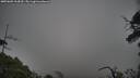 ./images/calvert/fitz-hugh-hecate/20250603/fitz-hugh-hecate20250603_164510M.jpg