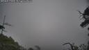 ./images/calvert/fitz-hugh-hecate/20250603/fitz-hugh-hecate20250603_170010M.jpg
