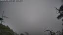 ./images/calvert/fitz-hugh-hecate/20250603/fitz-hugh-hecate20250603_170509M.jpg