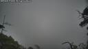 ./images/calvert/fitz-hugh-hecate/20250603/fitz-hugh-hecate20250603_171010M.jpg