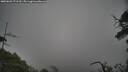 ./images/calvert/fitz-hugh-hecate/20250603/fitz-hugh-hecate20250603_171510M.jpg