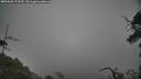 ./images/calvert/fitz-hugh-hecate/20250603/fitz-hugh-hecate20250603_172510M.jpg