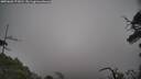 ./images/calvert/fitz-hugh-hecate/20250603/fitz-hugh-hecate20250603_173010M.jpg