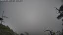 ./images/calvert/fitz-hugh-hecate/20250603/fitz-hugh-hecate20250603_173509M.jpg