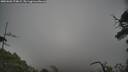 ./images/calvert/fitz-hugh-hecate/20250603/fitz-hugh-hecate20250603_174009M.jpg