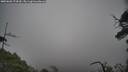 ./images/calvert/fitz-hugh-hecate/20250603/fitz-hugh-hecate20250603_174510M.jpg