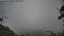 ./images/calvert/fitz-hugh-hecate/20250603/fitz-hugh-hecate20250603_175008M.jpg