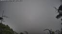./images/calvert/fitz-hugh-hecate/20250603/fitz-hugh-hecate20250603_175507M.jpg