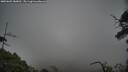 ./images/calvert/fitz-hugh-hecate/20250603/fitz-hugh-hecate20250603_180012M.jpg