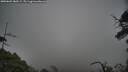 ./images/calvert/fitz-hugh-hecate/20250603/fitz-hugh-hecate20250603_180508M.jpg