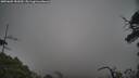 ./images/calvert/fitz-hugh-hecate/20250603/fitz-hugh-hecate20250603_181010M.jpg