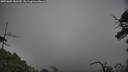 ./images/calvert/fitz-hugh-hecate/20250603/fitz-hugh-hecate20250603_181510M.jpg