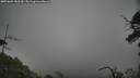./images/calvert/fitz-hugh-hecate/20250603/fitz-hugh-hecate20250603_182510M.jpg