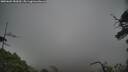 ./images/calvert/fitz-hugh-hecate/20250603/fitz-hugh-hecate20250603_183010M.jpg