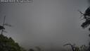 ./images/calvert/fitz-hugh-hecate/20250603/fitz-hugh-hecate20250603_183509M.jpg