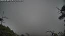 ./images/calvert/fitz-hugh-hecate/20250603/fitz-hugh-hecate20250603_184010M.jpg