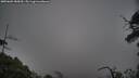 ./images/calvert/fitz-hugh-hecate/20250603/fitz-hugh-hecate20250603_185010M.jpg