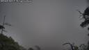./images/calvert/fitz-hugh-hecate/20250603/fitz-hugh-hecate20250603_185507M.jpg
