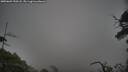./images/calvert/fitz-hugh-hecate/20250603/fitz-hugh-hecate20250603_190508M.jpg