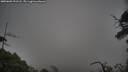 ./images/calvert/fitz-hugh-hecate/20250603/fitz-hugh-hecate20250603_191508M.jpg