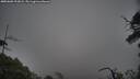 ./images/calvert/fitz-hugh-hecate/20250603/fitz-hugh-hecate20250603_192008M.jpg