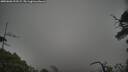 ./images/calvert/fitz-hugh-hecate/20250603/fitz-hugh-hecate20250603_192508M.jpg