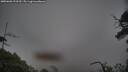 ./images/calvert/fitz-hugh-hecate/20250603/fitz-hugh-hecate20250603_193509M.jpg