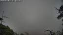 ./images/calvert/fitz-hugh-hecate/20250603/fitz-hugh-hecate20250603_194008M.jpg