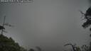 ./images/calvert/fitz-hugh-hecate/20250603/fitz-hugh-hecate20250603_195009M.jpg