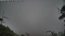./images/calvert/fitz-hugh-hecate/20250603/fitz-hugh-hecate20250603_195506M.jpg