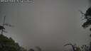 ./images/calvert/fitz-hugh-hecate/20250603/fitz-hugh-hecate20250603_200009M.jpg