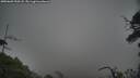 ./images/calvert/fitz-hugh-hecate/20250603/fitz-hugh-hecate20250603_200508M.jpg